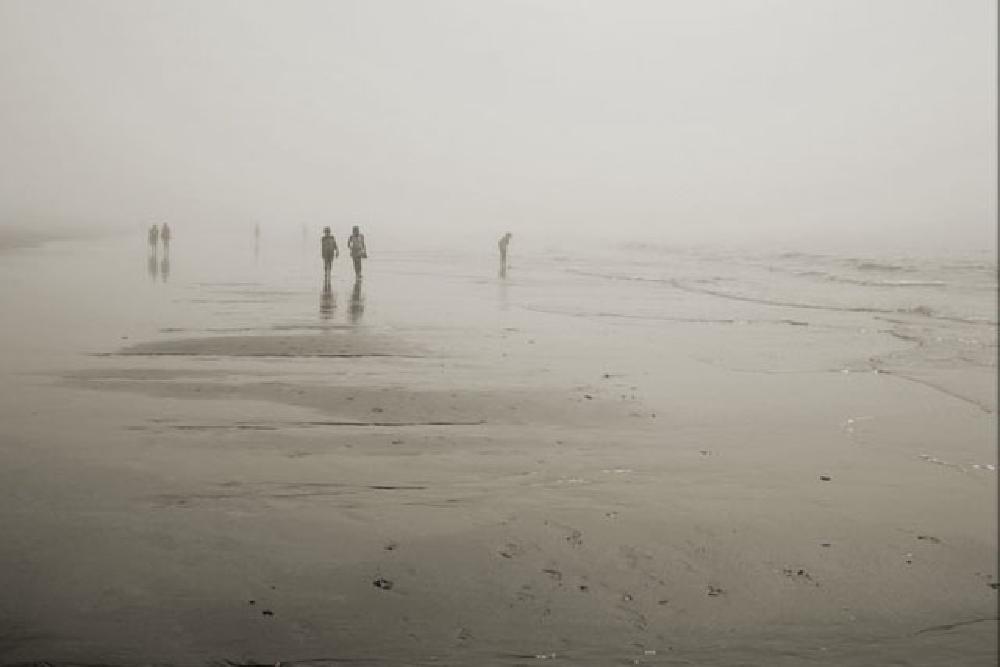Spaniards searching for Almejas on a foggy Huelva beach, Spain