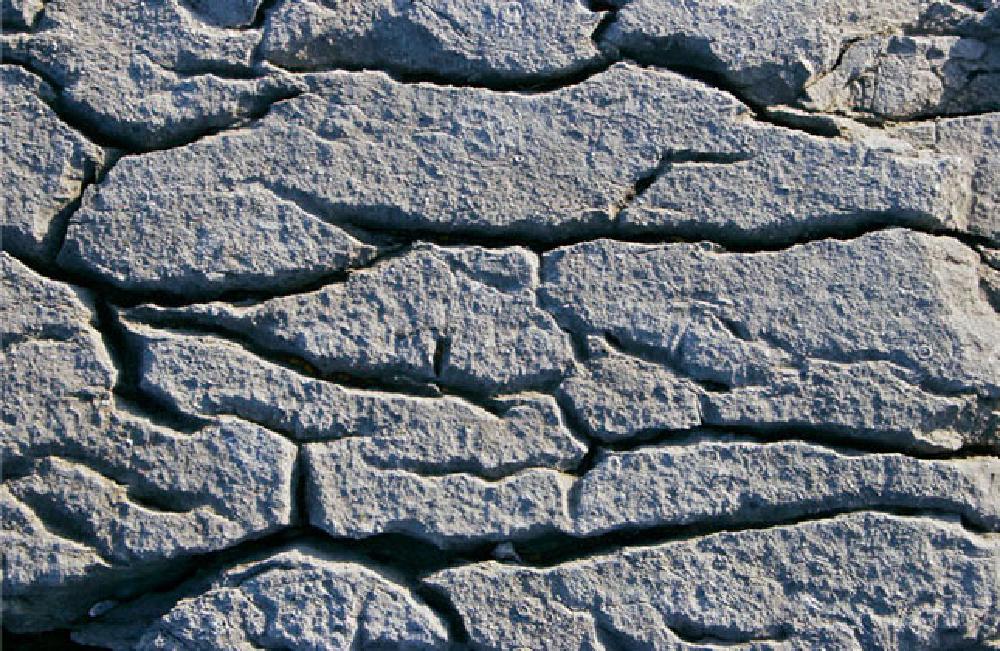 Cracks in the rock, The Burren
