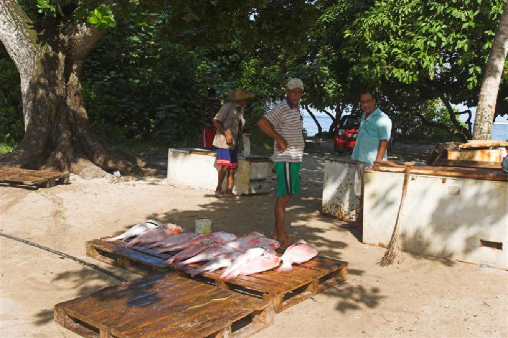 Fish Traders