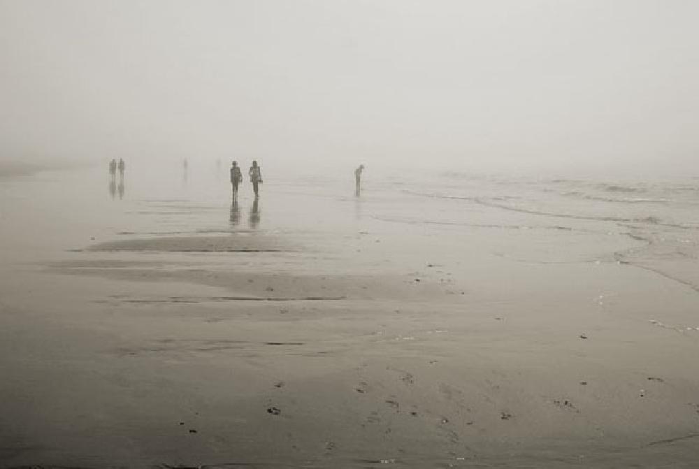 Spaniards searching for Almejas on a foggy Huelva beach, Spain